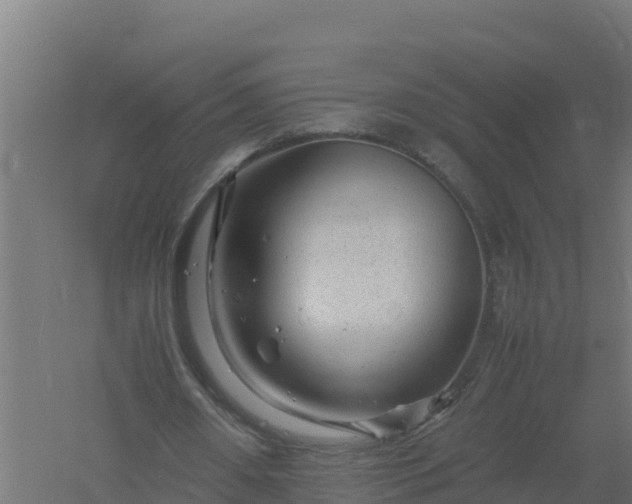 X0000061140482200511241808