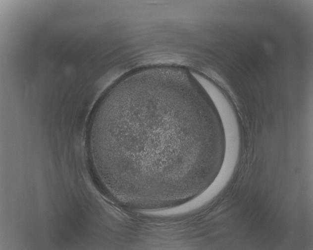 X0000061140483200511241808