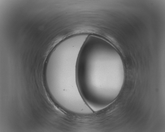 X0000061140485200511241808