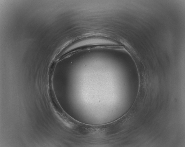 X0000061140486200511241808