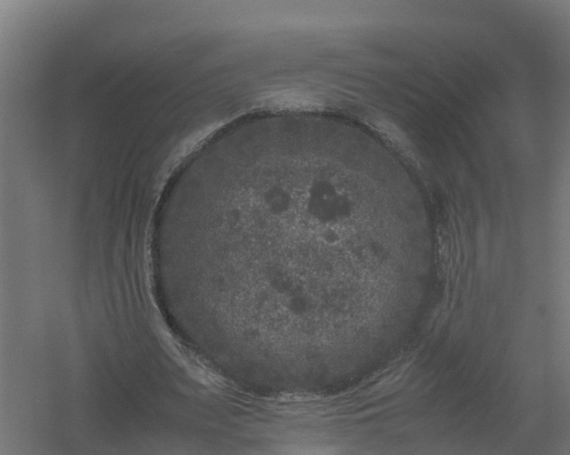 X0000061140487200511241808