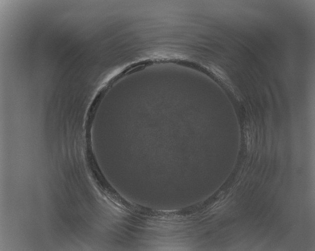 X0000061140488200511241808