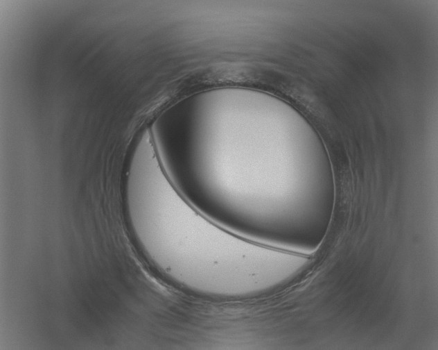 X0000061140489200511241808