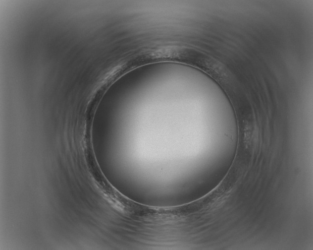 X0000061140490200511241808