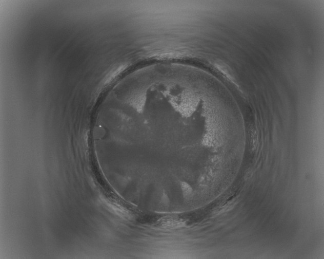 X0000061140491200511241808