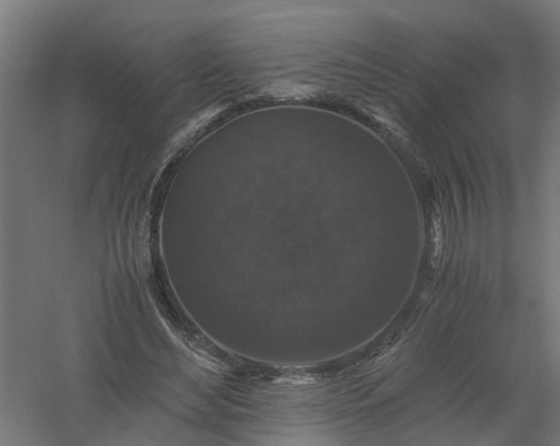 X0000061140492200511241808