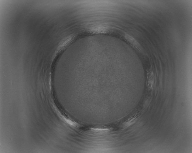 X0000061140494200511241808