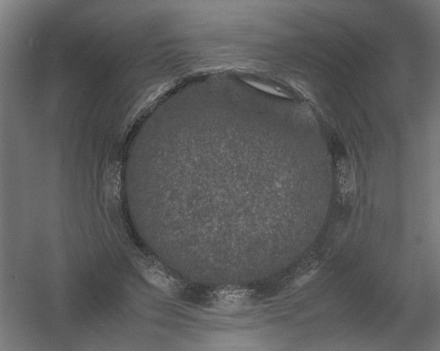 X0000061140495200511241808