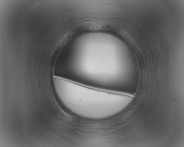 X0000061140497200511241808