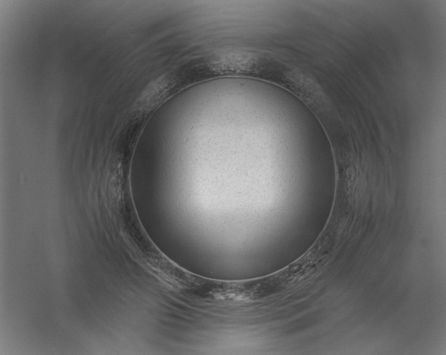 X0000061140498200511241808