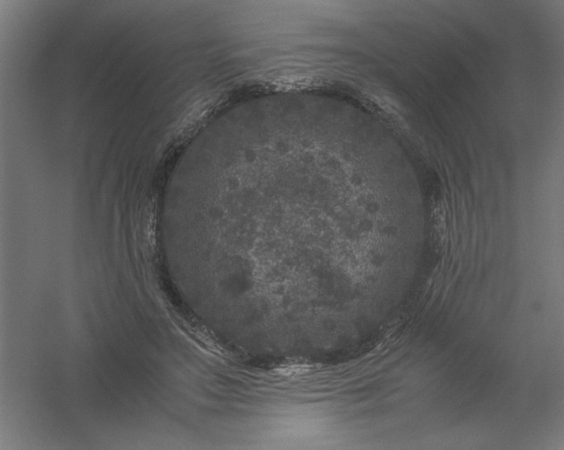 X0000061140499200511241808