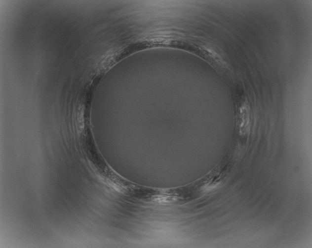 X0000061140504200511241808