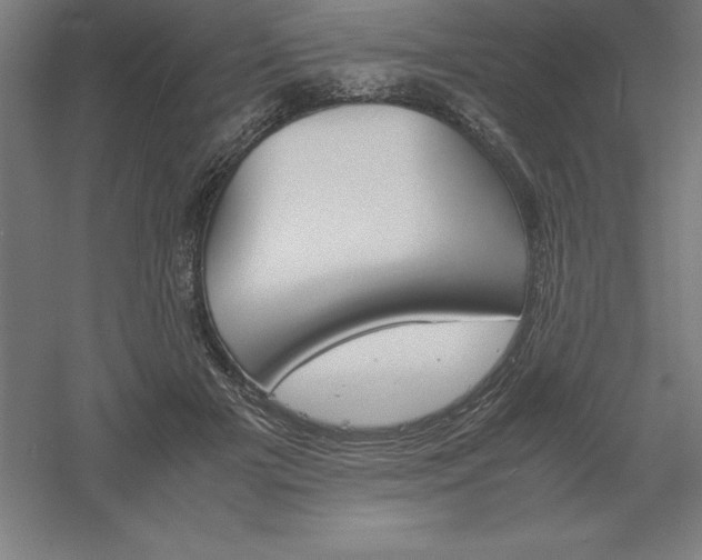 X0000061140505200511241808