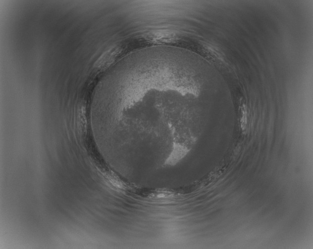 X0000061140506200511241807