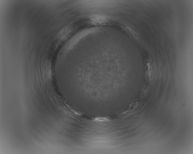 X0000061140508200511241807