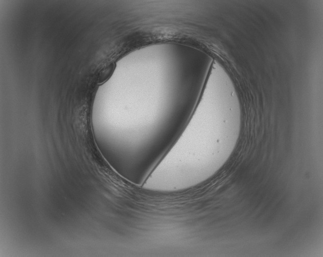 X0000061140509200511241807