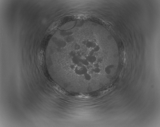 X0000061140511200511241807