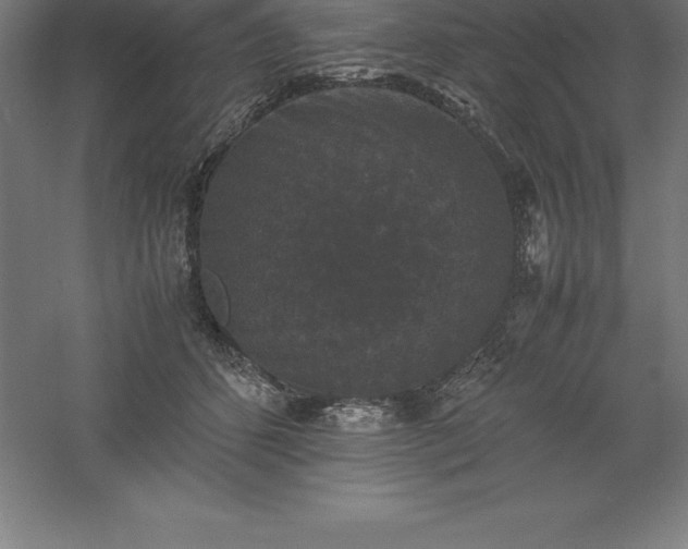 X0000061140512200511241807