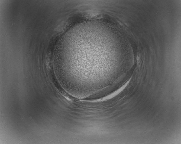 X0000061140515200511241807