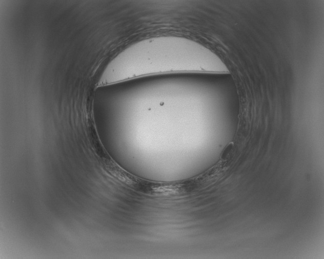 X0000061140516200511241807