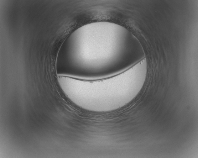 X0000061140517200511241807