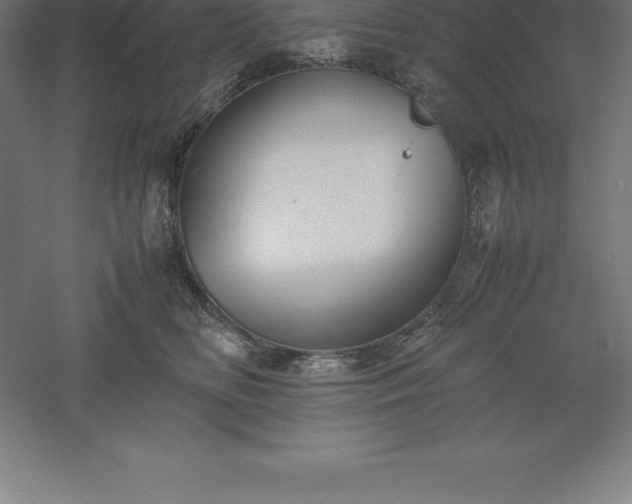 X0000061140518200511241807