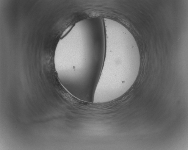 X0000061140521200511241807