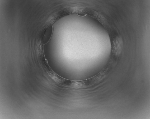 X0000061140522200511241807