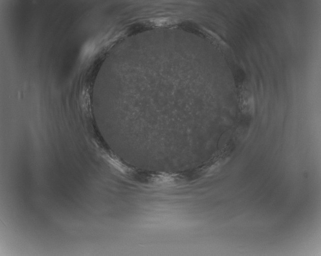 X0000061140523200511241807