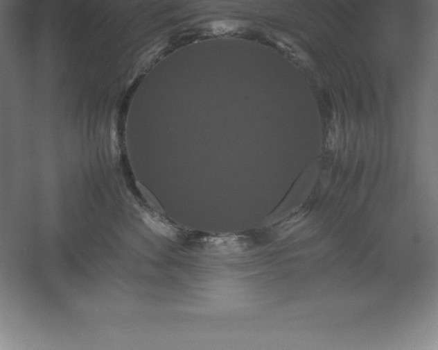 X0000061140524200511241807