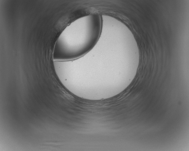 X0000061140525200511241807