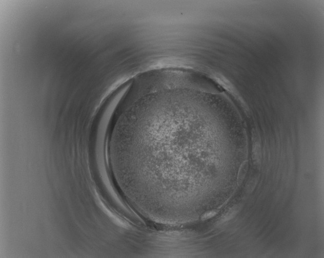 X0000061140530200511241806