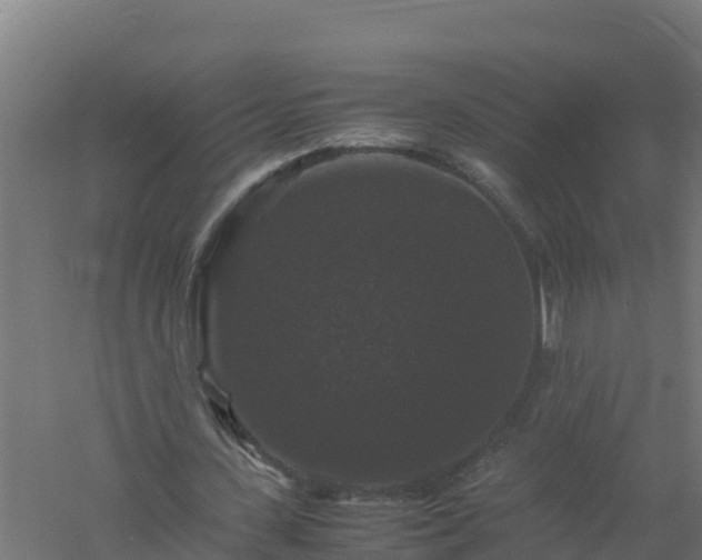 X0000061140531200511241806