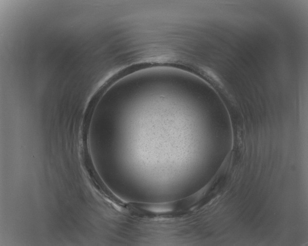 X0000061140532200511241806