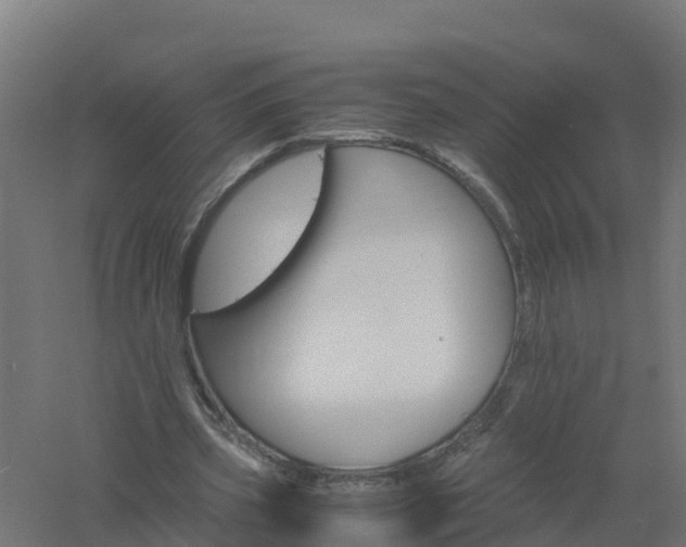 X0000061140533200511241806