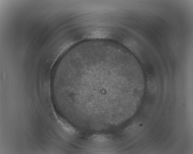 X0000061140534200511241806