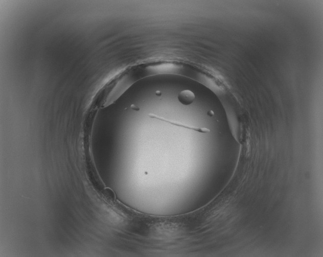 X0000061140535200511241806