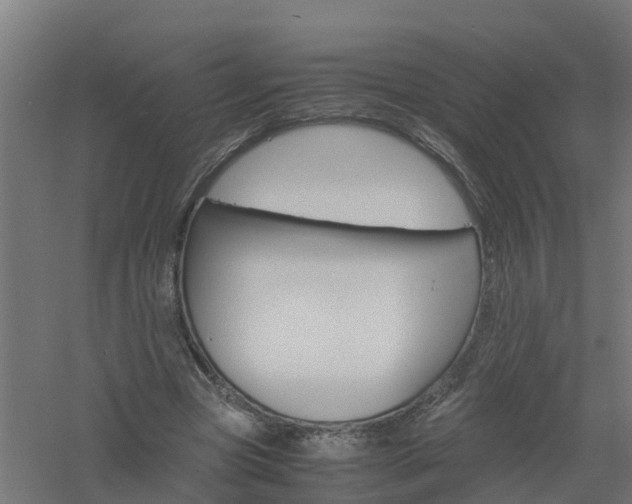 X0000061140537200511241806