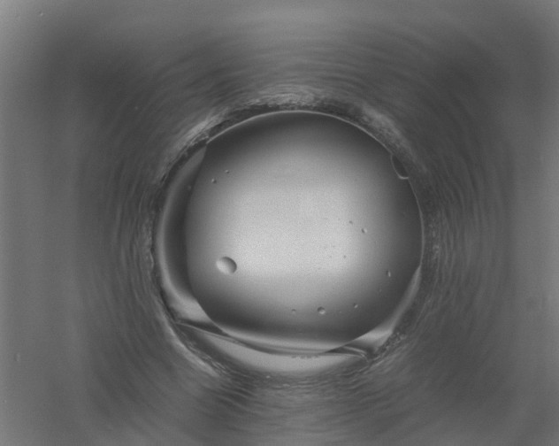 X0000061140538200511241806