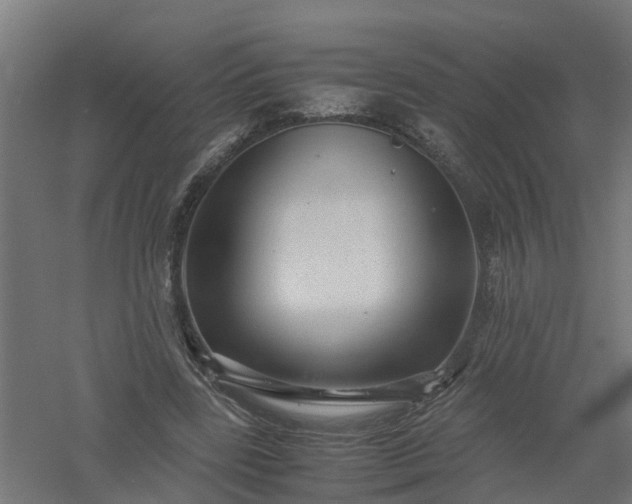 X0000061140539200511241806