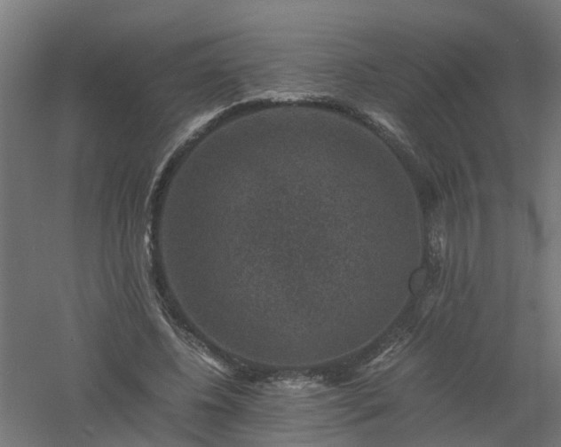 X0000061140540200511241806