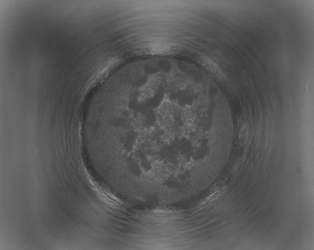 X0000061140542200511241806