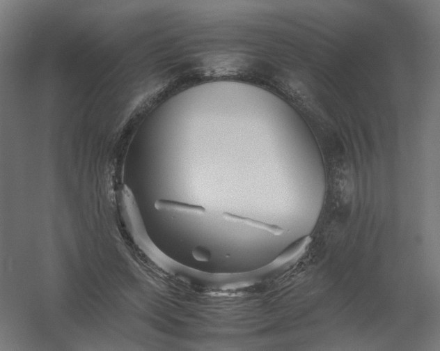 X0000061140543200511241806