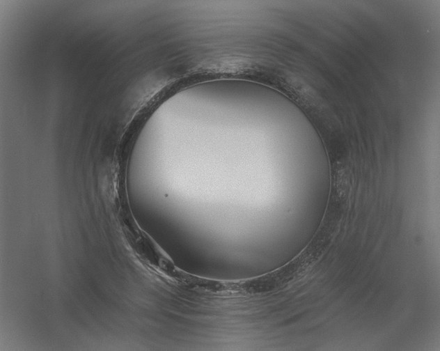 X0000061140544200511241806