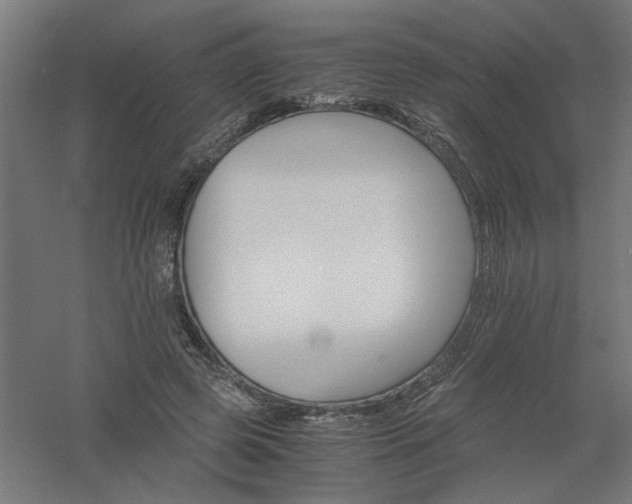 X0000061140545200511241806