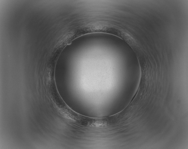 X0000061140546200511241806