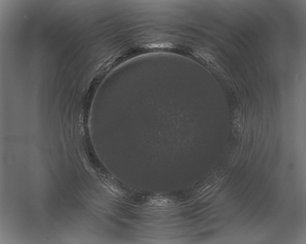 X0000061140547200511241806