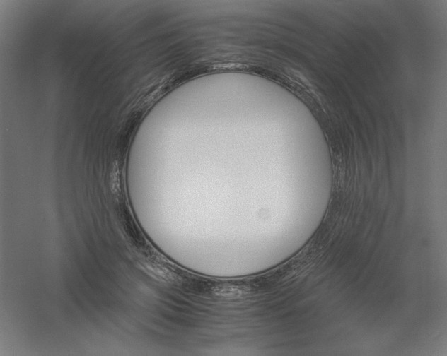 X0000061140549200511241806