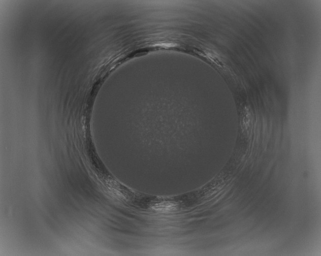 X0000061140551200511241806