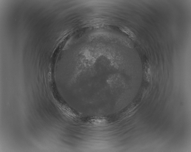 X0000061140552200511241806